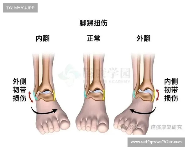 科瓦奇透露聚勒小腿不适排除踝关节韧带损伤问题